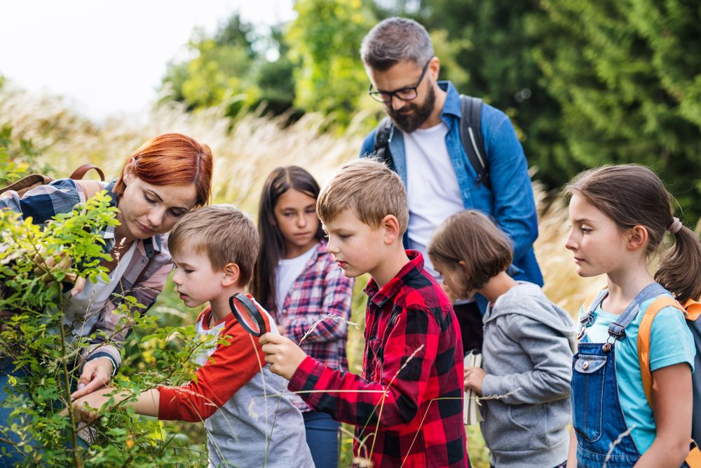 Support Working Parents: Discover Summer Camp Counselor Opportunities