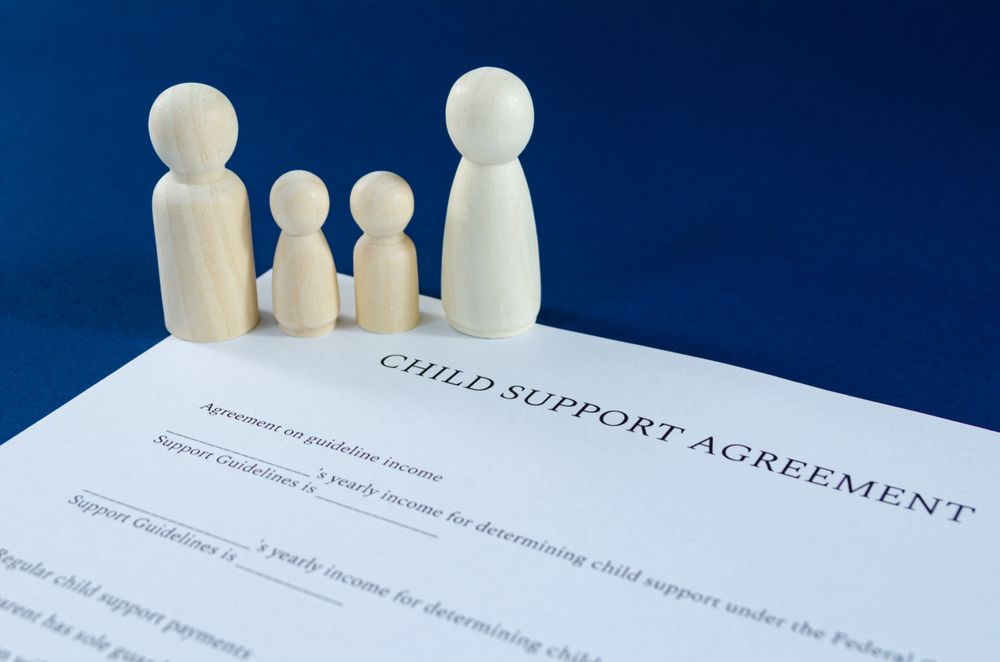 Guía de Abogados Pro Bono para Manutención Infantil