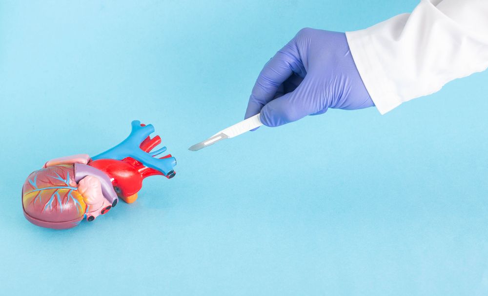 Aortic Valve Surgery: Restoring Heart Function and Vitality